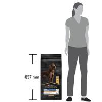 Pro Plan plan dog adult large breed athletic - thumbnail