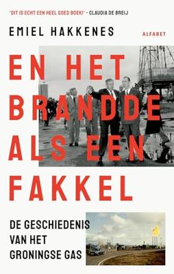 En het brandde als een fakkel - Emiel Hakkenes - ebook En het brandde als een fakkel - Emiel Hakkenes - ebook