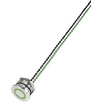 TRU COMPONENTS 649962 PS223P10Y01G24T Piëzotoets Groen (Ø) 28 mm 1 stuk(s) - thumbnail