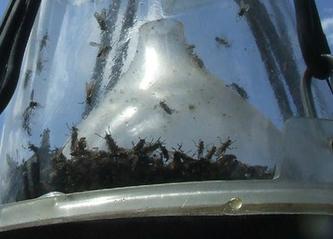 Pas op party zone bord 25 jaar getrouwd Pas op party zone bord 25 jaar getrouwd