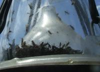 Pas op party zone bord 25 jaar getrouwd - thumbnail