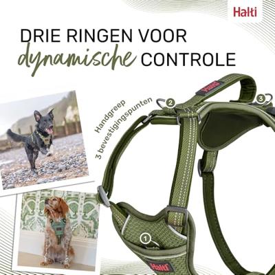 Hondentuigje Company of Animals Groen XS 20-32 cm