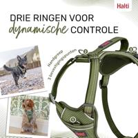 Hondentuigje Company of Animals Groen XS 20-32 cm - thumbnail