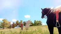 The Unicorn Princess - thumbnail
