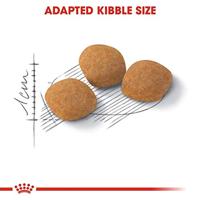 Royal Canin Protein Exigent kattenvoer 2 x 10 kg - thumbnail