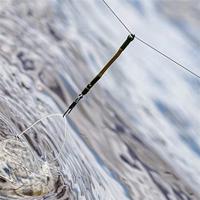 Guru Feeder Links Large 7,5cm - thumbnail