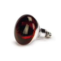 Infrarood warmtelamp r125 150w Beeztees - Beeztees - thumbnail