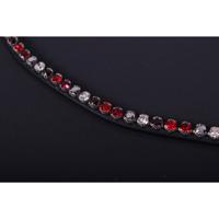 PresTeq Frontriem ShineBright - thumbnail