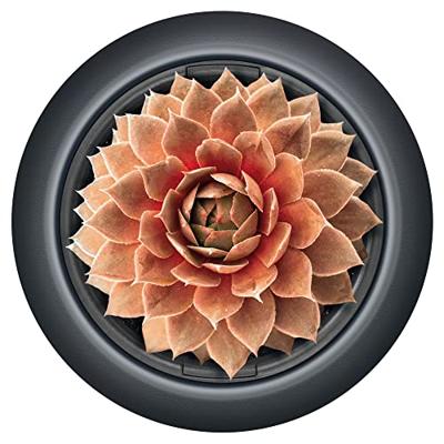 Prosperplast Plantenpot Sevilla - kunststof - wit - D40 cm Prosperplast Plantenpot Sevilla - kunststof - wit - D40 cm