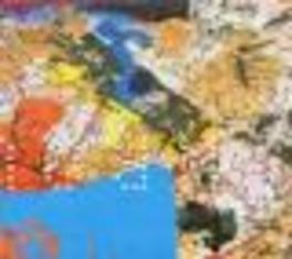 Throwing Muses - CD (0652637230123)