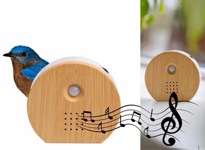 QLT Nature Geluidbox met Sensor - Vogel-, Zee- of Junglegeluiden - Hout