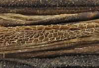 PETSNACK PENSSTAAFJES 15 CM 100 GR - thumbnail