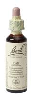 Bach Flower Remedies Zomereik 22 - thumbnail