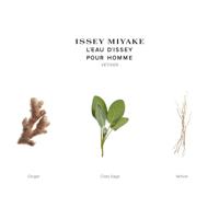 Issey Miyake L'Eau D'Issey Pour Homme Vétiver Eau de Toilette Intense 50ml - thumbnail