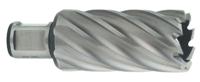 Metabo Accessoires HSS kernboor Ø 30x55 mm - 626539000 - thumbnail