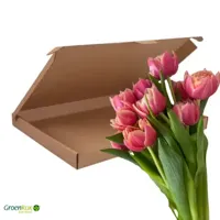 Brievenbus Cadeau Tulpen Roze - thumbnail