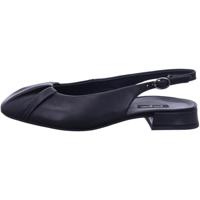 Paul Green 6142 - alle - thumbnail