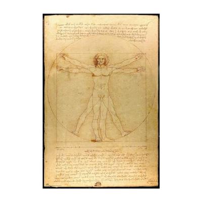 Poster Vitruvian Man 61x91,5cm