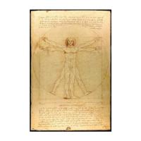 Poster Vitruvian Man 61x91,5cm - thumbnail