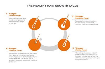 Viviscal Hair Growth Tablets Man