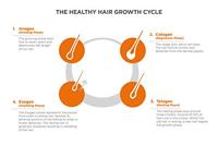 Viviscal Man Hair Growth Supplement - thumbnail