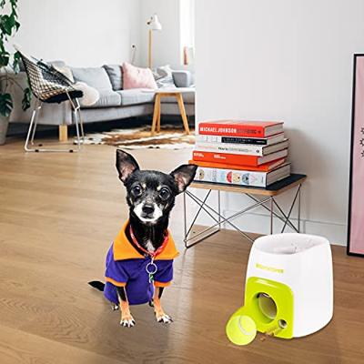 AFP INTERACTIVE FETCH 'N TREAT - thumbnail