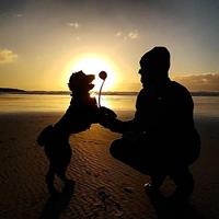 Chuckit junior werpstok 18 meter - thumbnail