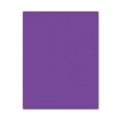 Fiches Iris Paars 50 x 65 cm
