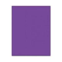 Fiches Iris Paars 50 x 65 cm - thumbnail