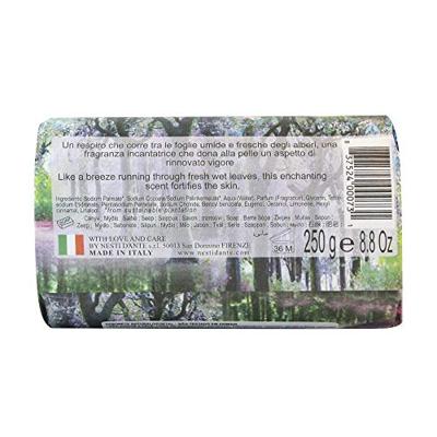 Nesti Dante zeep emozioni enchanting forest 250gr.