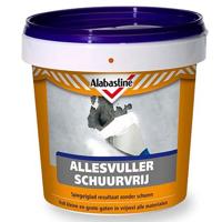 Alabastine Ext Allesvuller Steen 300Ml - 5095970 - thumbnail