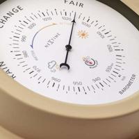 NeXtime NE-4303BR Buiten Barometer 22CM Metaal Bruin Orchid - thumbnail