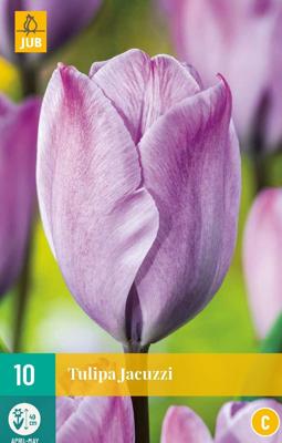 Tulp jacuzzi 7 bollen