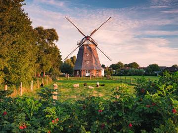 Puzzel ravensburger windmolen aan oostzee 1500st