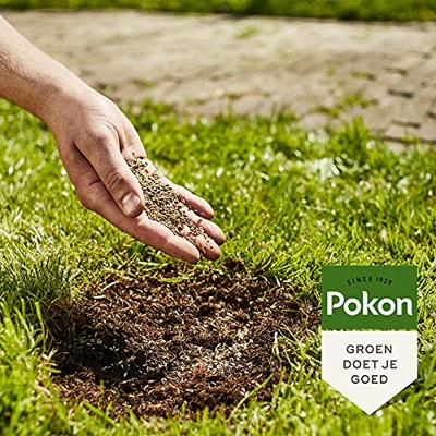 Pokon Kale plekken hersteller 200g