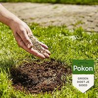 Pokon Kale plekken hersteller 200g - thumbnail