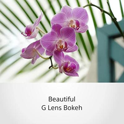 Sony E 18-105mm F/4.0 G OSS PZ
