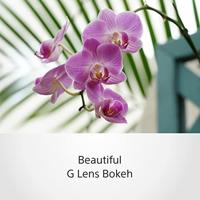 Sony E 18-105mm F/4.0 G OSS PZ - thumbnail