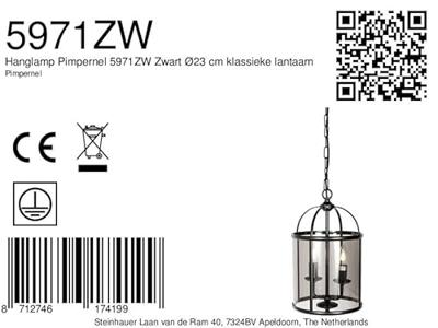 Steinhauer Klassieke hanglampPimpernel zwart 2-lichts - 5971ZW