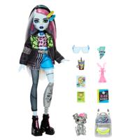 Monster High Frankie Stein pop - thumbnail