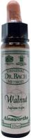 Ainsworths Walnut Bach 10 Milliliter - thumbnail