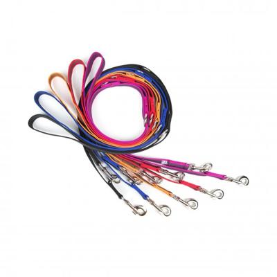 Antislip Hondenriem - Verstelbaar 20mm x 2,2m