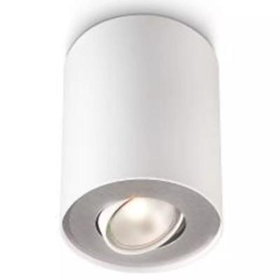 Philips Witte plafondspotPillar - 5633031PN