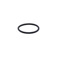 ifm Electronic E30123 O-ring E30123 1 stuk(s) - thumbnail