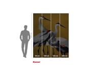 Komar Flair Fotobehang Yellow Cranes - FLX4-053 - thumbnail