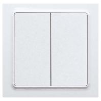 Eltako F4T55E-wg Toets Draadloos 2-kanaals Opbouw (op muur) Bereik max. (in het vrije veld) 30 m - thumbnail