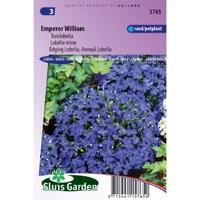 Tuinlobelia bloemzaden – Emperor William - thumbnail