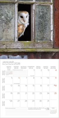 Uilen Kalender 2026 Uilen Kalender 2026