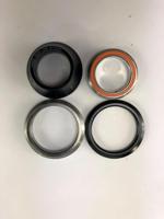 Balhoofdstel Thompson race - thumbnail