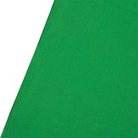 Westcott X-Drop Pro Rimpelbestendige Achtergrond - Chroma-Key Green Screen Sweep (8' x 13') - thumbnail